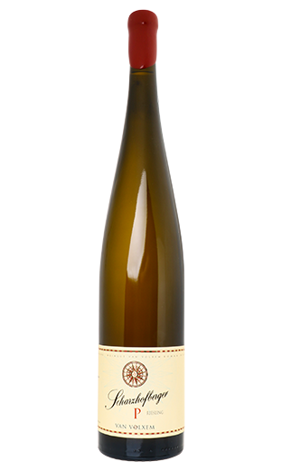 Scharzhofberger 'P' Pergentsknopp' Riesling Grosses Gewachs 2019 - Van Volxem (magnum, 1.5 L)