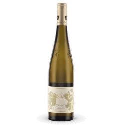 Riesling  Pettentahl GG 2020 - Kuhling-Gillot