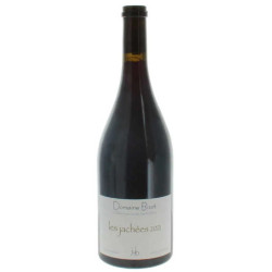 Vosne-Romanee les Jachees 2021 Domaine Jean Yves Bizot