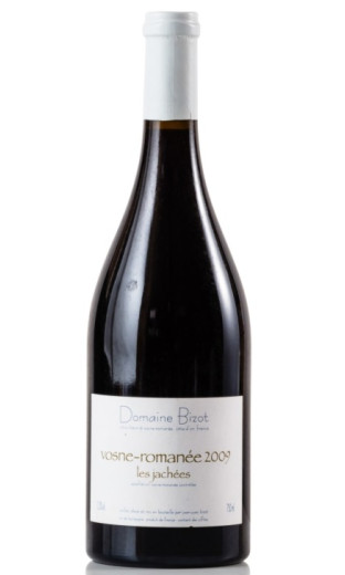 Vosne-Romanee les Jachees 2009 Domaine Jean Yves Bizot