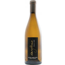 Pouilly Fumé Eurythmie AOC 2022 - Domaine Jonathan Didier Pabiot