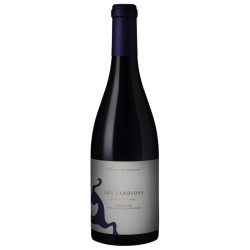 Pinot noir "les landions" 2021 - domaine des Landions