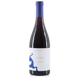 Pinot noir "les landions" 2022 - domaine des Landions