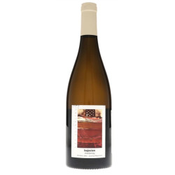 Chardonnay Bajocien 2019 - domaine Labet