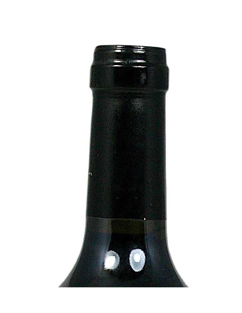 Illmitz 2006 - Christian Tschida