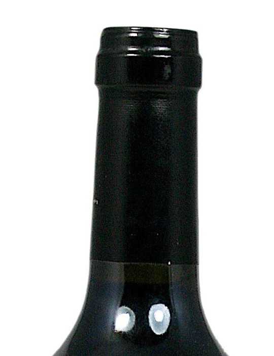 Illmitz 2006 - Christian Tschida