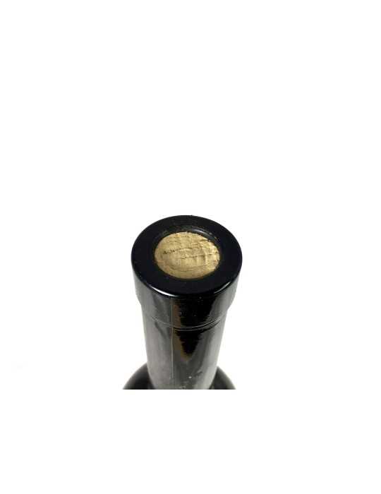 Volcano 1996 - Joe Pfister