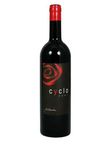Finca Torremilanos Cyclo 2006 - Bodegas Penalba Lopez