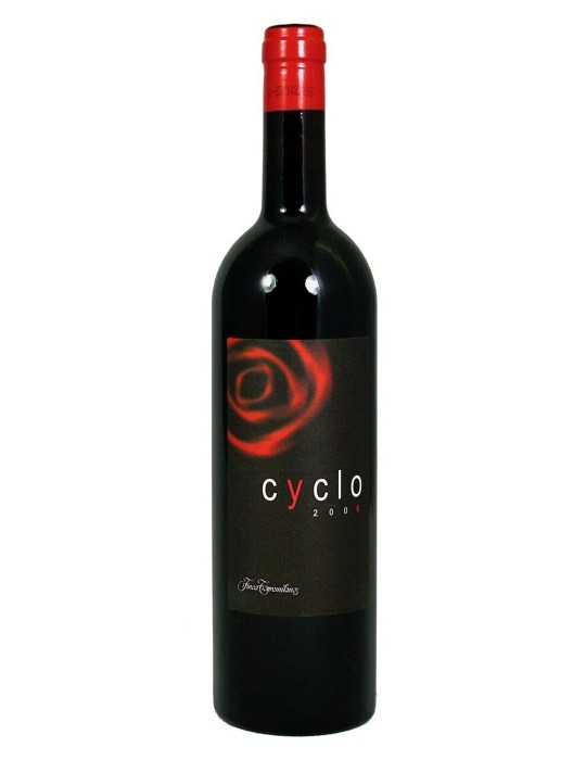 Finca Torremilanos Cyclo 2006 - Bodegas Penalba Lopez
