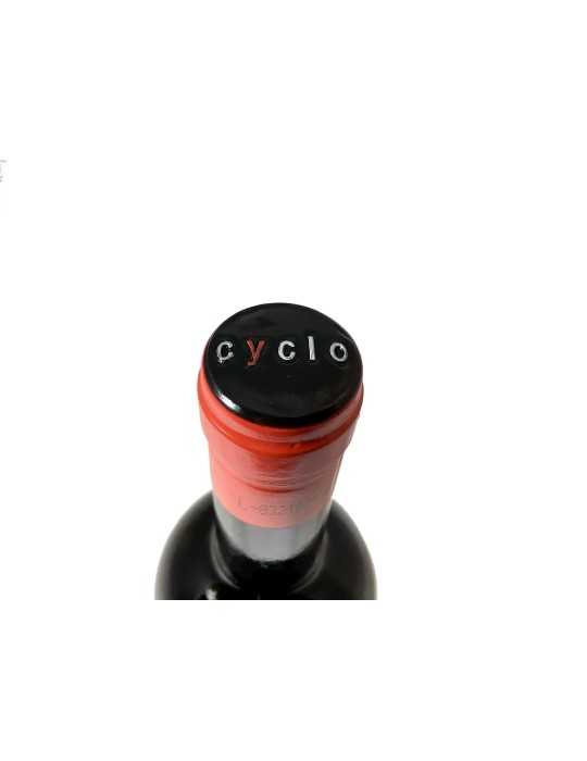 Finca Torremilanos Cyclo 2006 - Bodegas Penalba Lopez