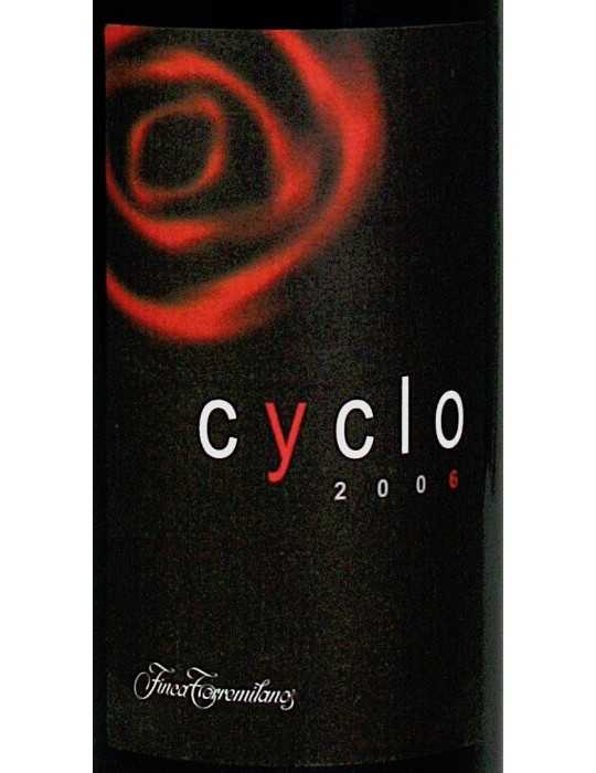 Finca Torremilanos Cyclo 2006 - Bodegas Penalba Lopez