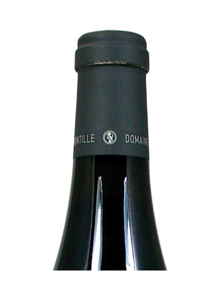 Clos de Vougeot 2009 - Hubert de Montille (magnum 1.5 l)