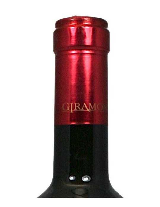 Magnum Giramonte 1999 - Marchesi de Frescobaldi (Tenuta di Castiglioni) 