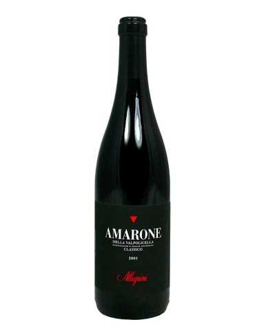 Amarone della Valpolicella Classico 2001 - Allegrini