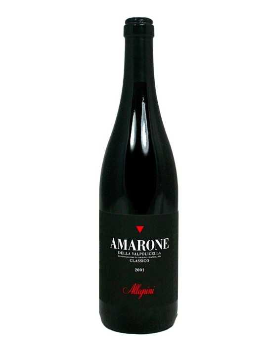 Amarone della Valpolicella Classico 2001 - Allegrini