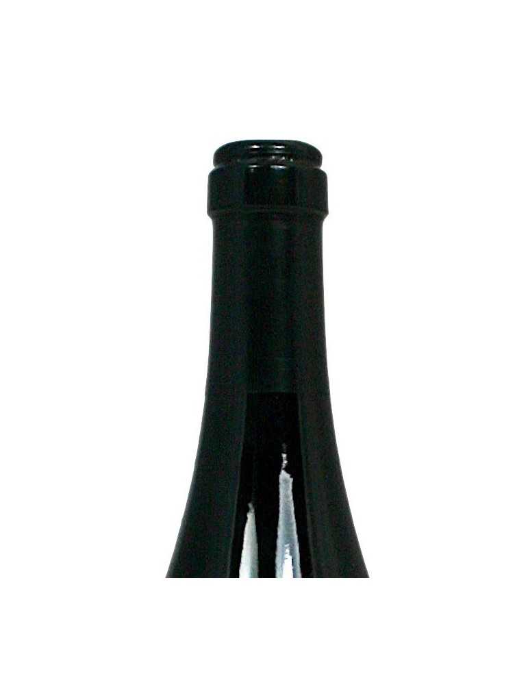 Amarone della Valpolicella Classico 2001 - Allegrini