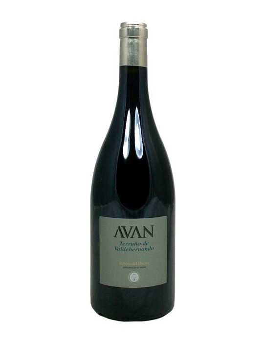 Avan Terruno de Valdehernando 2005 - Juan Manuel Burgos