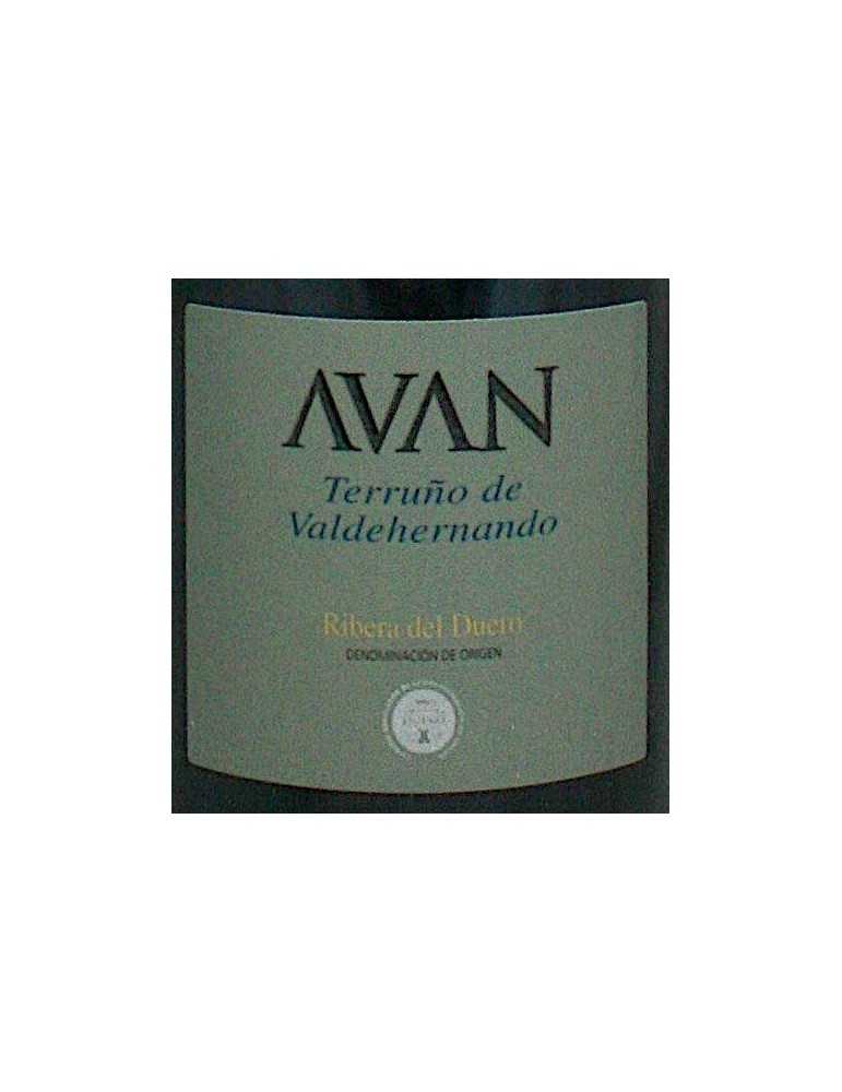 Avan Terruno de Valdehernando 2005 - Juan Manuel Burgos