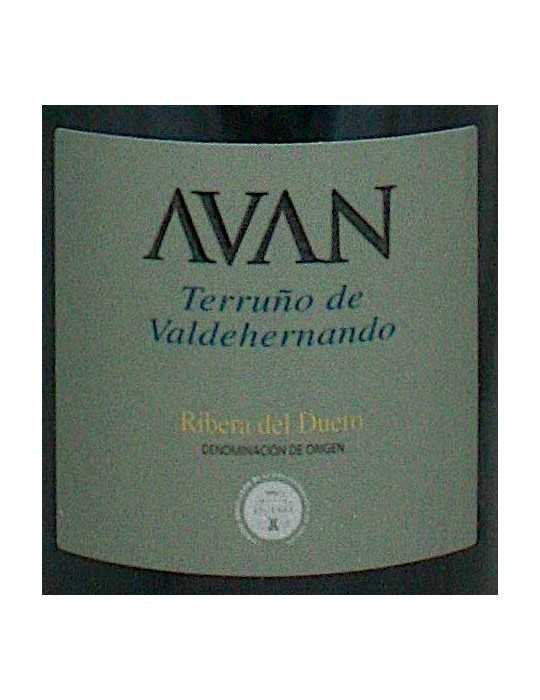 Avan Terruno de Valdehernando 2005 - Juan Manuel Burgos
