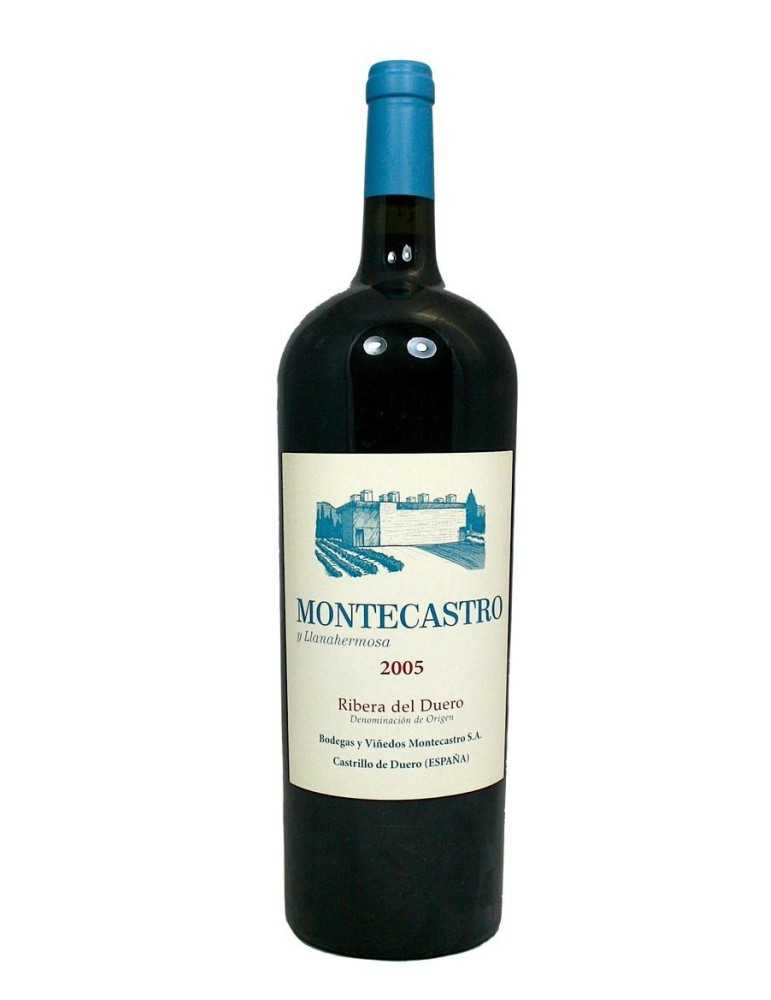 Montecastro Y Llanahermosa 2005 - Bodega Montecastro (magnum, 1.5 l)