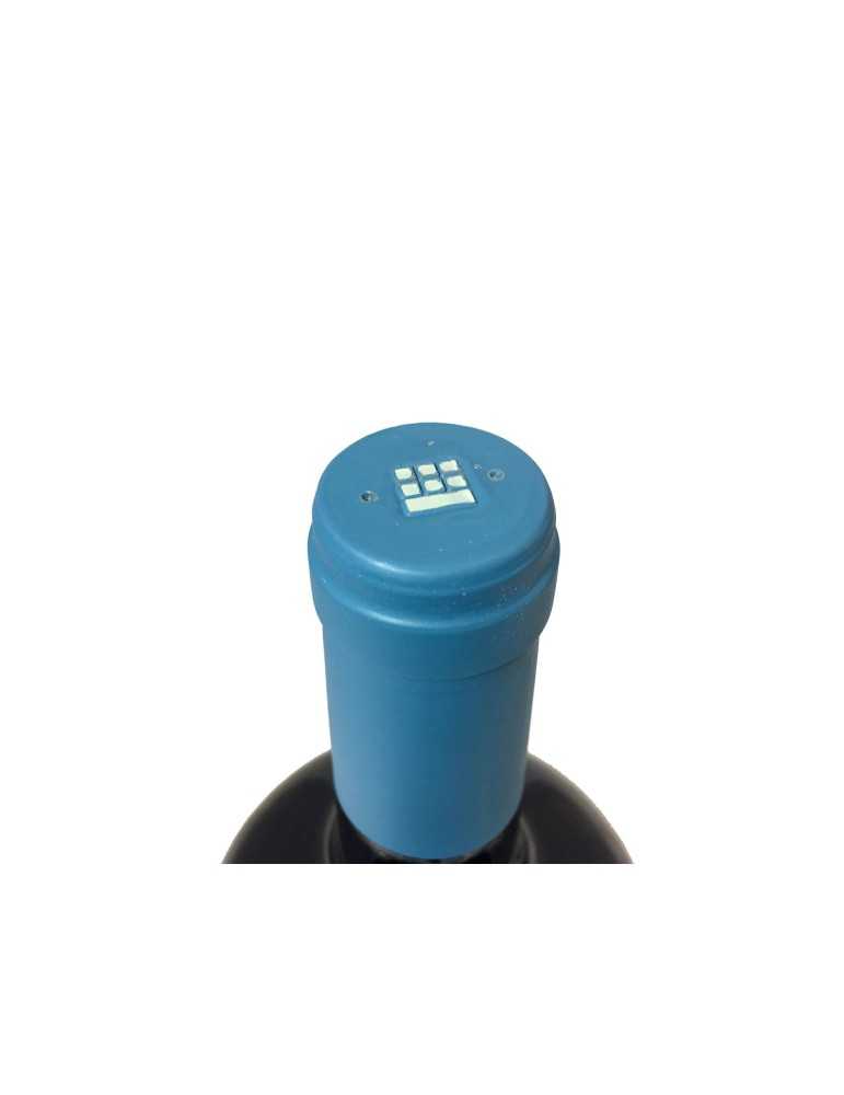 Montecastro Y Llanahermosa 2005 - Bodega Montecastro (magnum, 1.5 l)