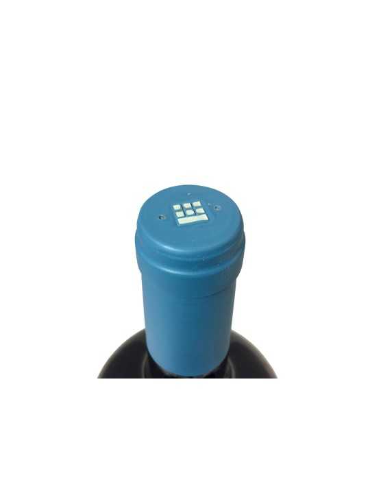 Montecastro Y Llanahermosa 2005 - Bodega Montecastro (magnum, 1.5 l)