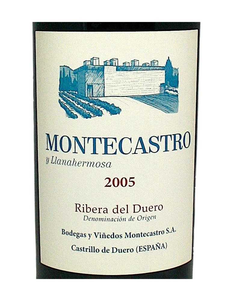 Montecastro Y Llanahermosa 2005 - Bodega Montecastro (magnum, 1.5 l)