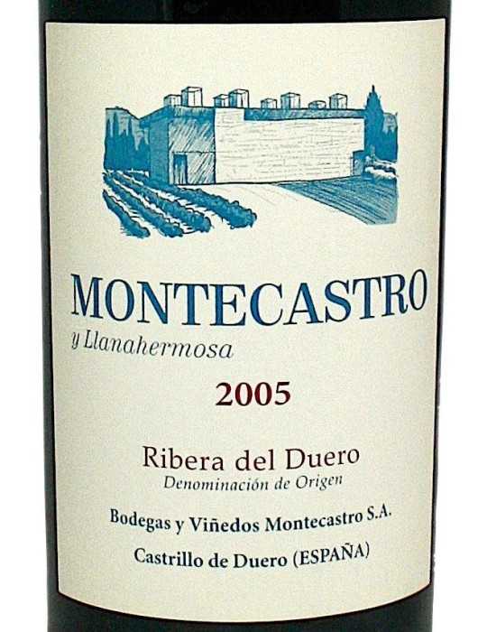 Montecastro Y Llanahermosa 2005 - Bodega Montecastro (magnum, 1.5 l)