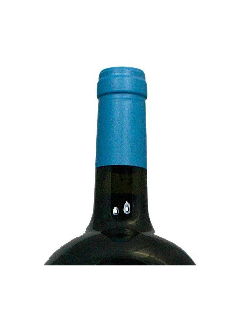 Montecastro Y Llanahermosa 2005 - Bodega Montecastro (magnum, 1.5 l)