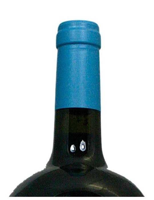 Montecastro Y Llanahermosa 2005 - Bodega Montecastro (magnum, 1.5 l)