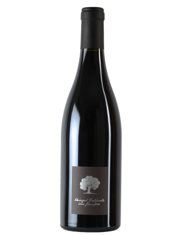 Pinot noir Eichholz 2015 - Irène Grünenfelder