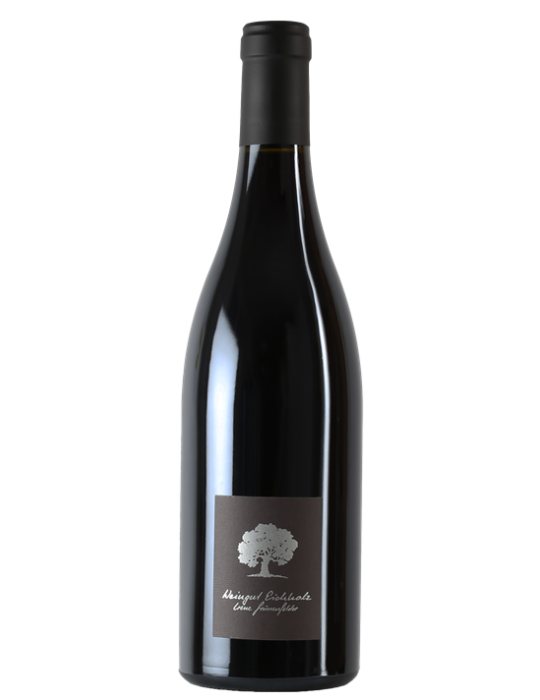 Pinot noir Eichholz 2015 - Irène Grünenfelder