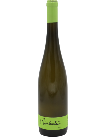 Riesling (trocken) 2020 - Weingut Daniel & Marta Gantenbein 