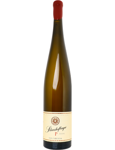 Scharzhofberger 'P' Pergentsknopp' Riesling Grosses Gewachs 2019 - Van Volxem (magnum, 1.5 L)