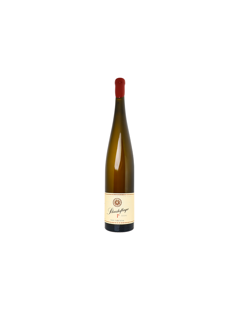 Scharzhofberger 'P' Pergentsknopp' Riesling Grosses Gewachs 2019 - Van Volxem (magnum, 1.5 L)