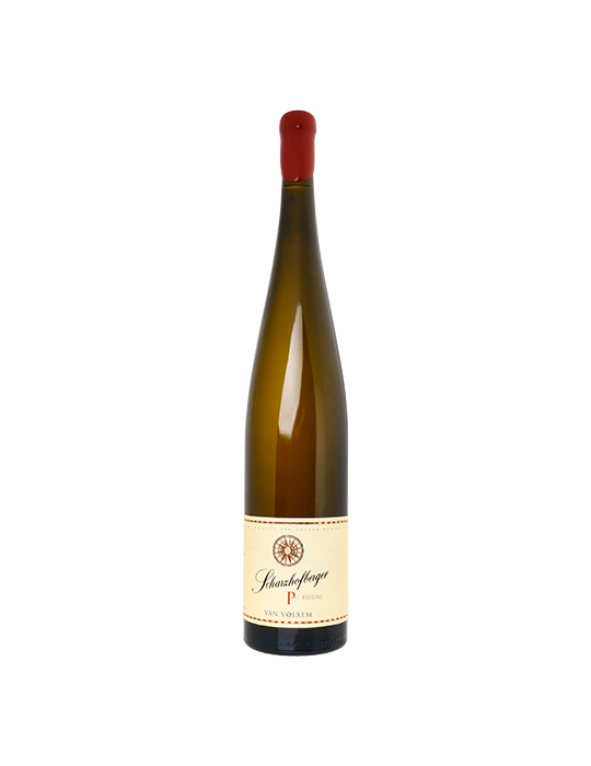 Scharzhofberger 'P' Pergentsknopp' Riesling Grosses Gewachs 2019 - Van Volxem (magnum, 1.5 L)