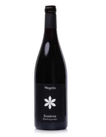 Scadena Blauburgunder 2018 - Weingut Wegelin