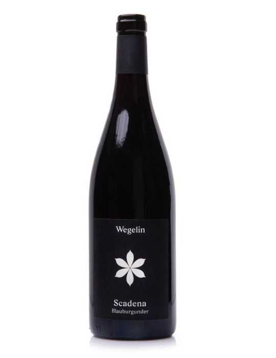 Scadena Blauburgunder 2018 - Weingut Wegelin