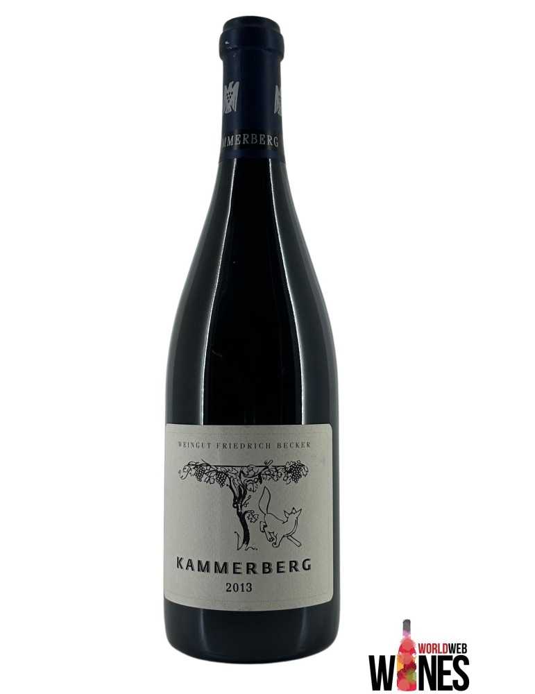 Pinot Noir kammerberg spatburgender 2013 - Becker Friedrich Weingut