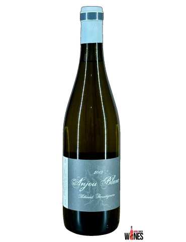 Anjou blanc 2019 - Thibaud Boudignon