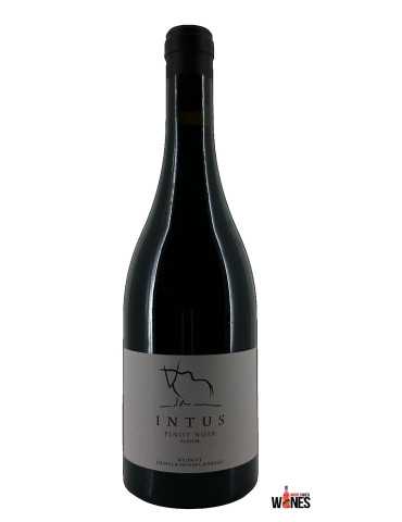 INTUS PINOT NOIR FLÄSCH 2018 - Daniel & Monika Marugg (Bovel)