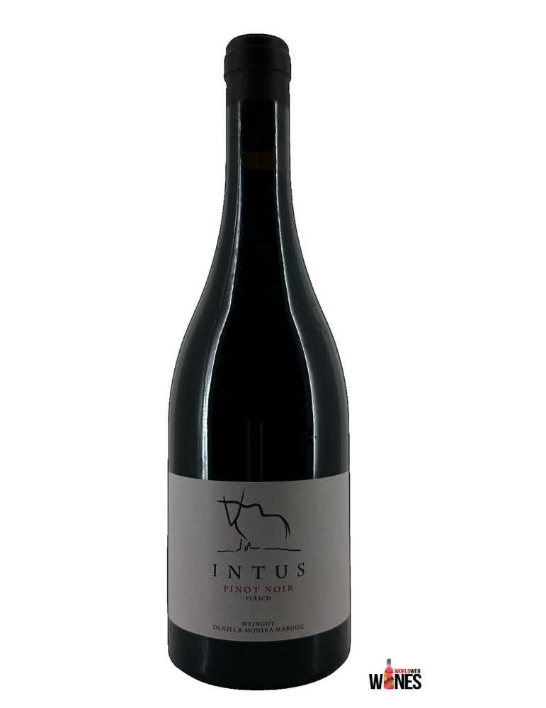 INTUS PINOT NOIR FLÄSCH 2018 - Daniel & Monika Marugg (Bovel)