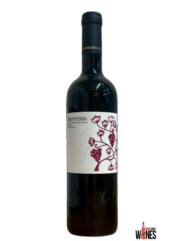 Montevetrano 2011 - Silvia Imparato