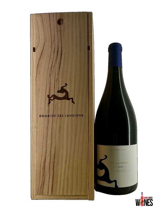Pinot noir "Les Landions" 2023 - Domaine des Landions (magnum, OWC)