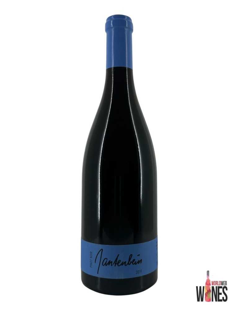 Pinot Noir 2019 - Weingut Daniel & Marta Gantenbein