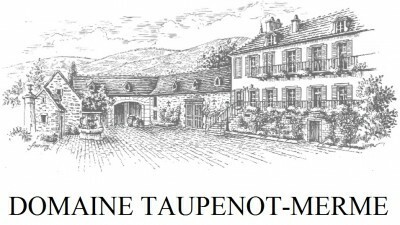 Domaine Taupenot-Merme