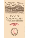 Bodegas Pago de Carraovejas
