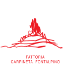 Fattoria Carpineta Fontalpino