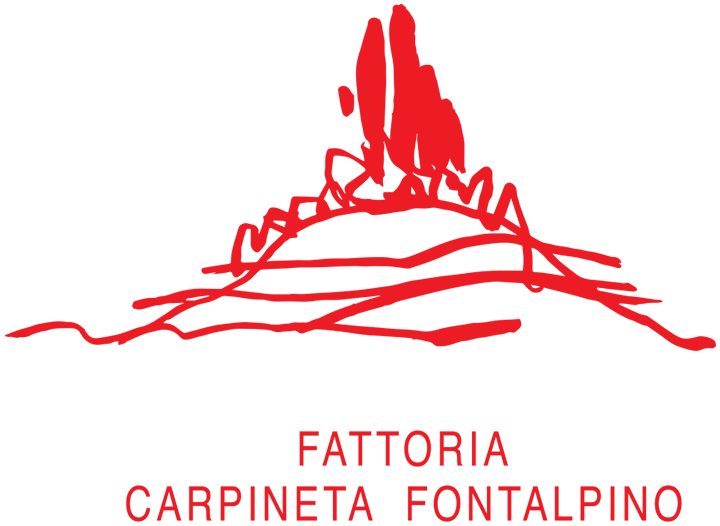Fattoria Carpineta Fontalpino