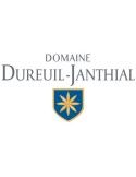 Domaine Vincent Dureuil Janthial